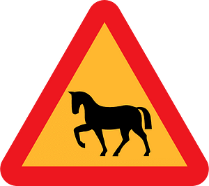 Horse crossing