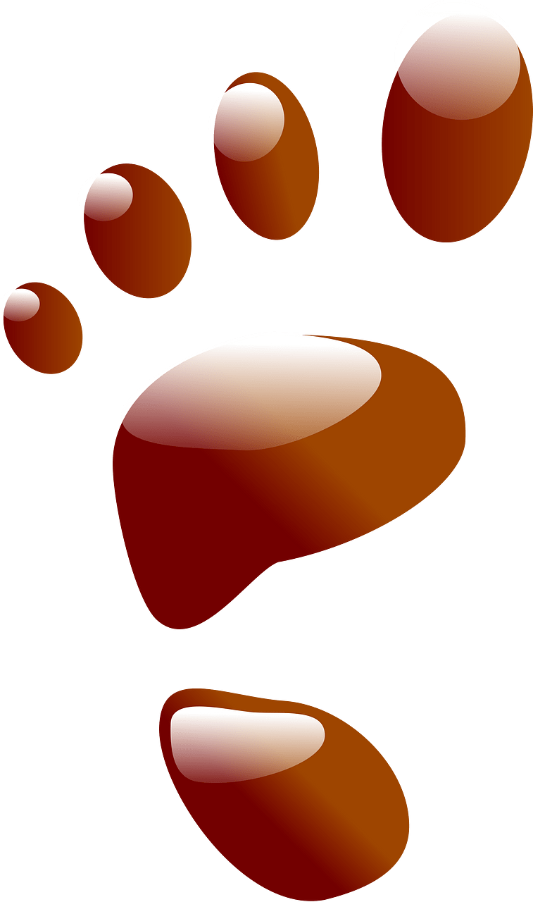 Footprint