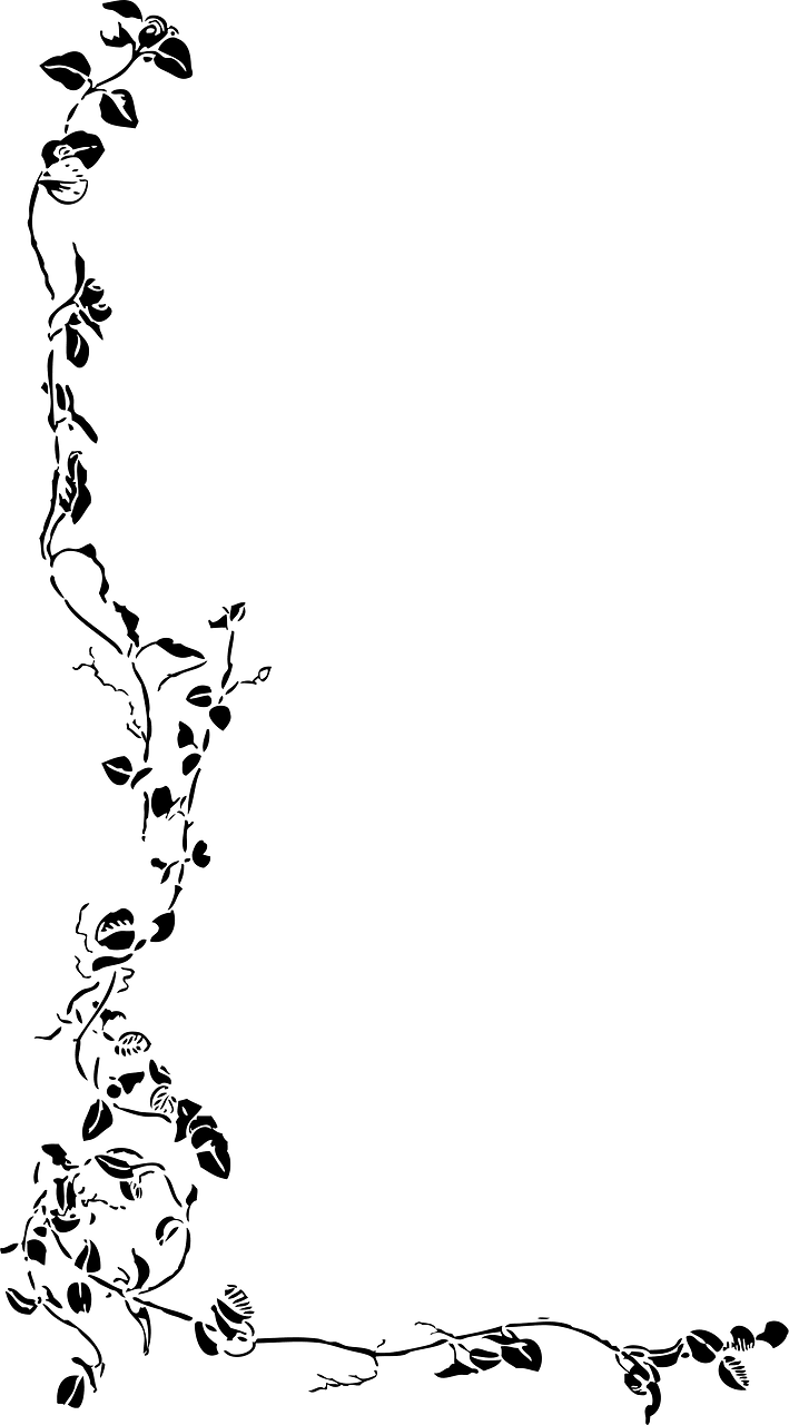 边界