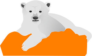 Polar bear