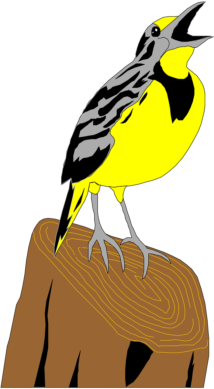 Meadowlark