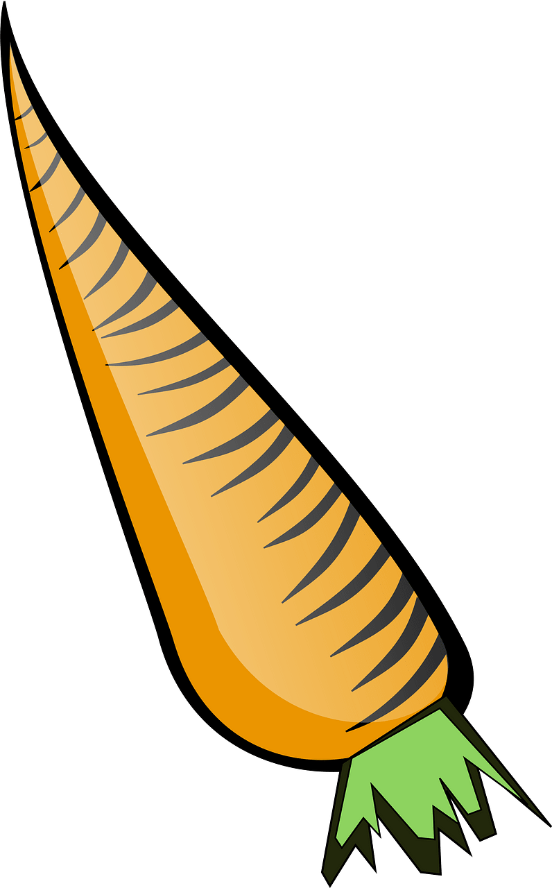 Carrot