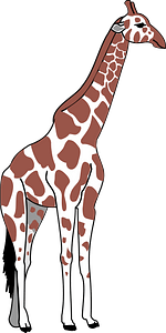 Giraffa