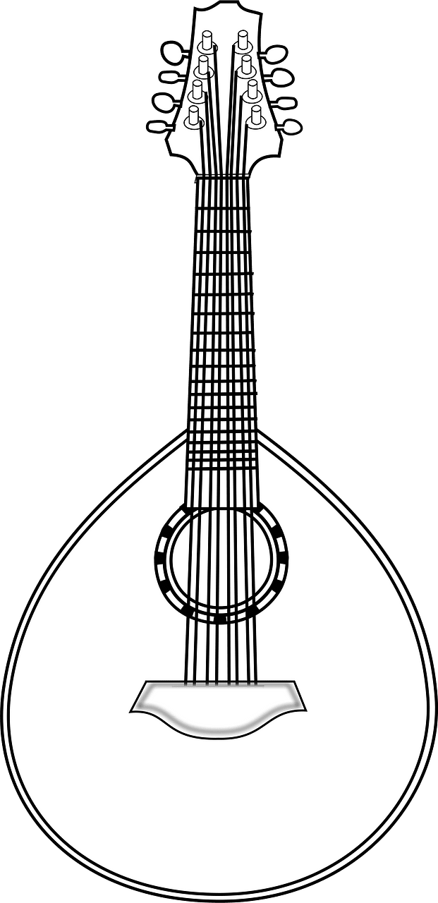 Lute