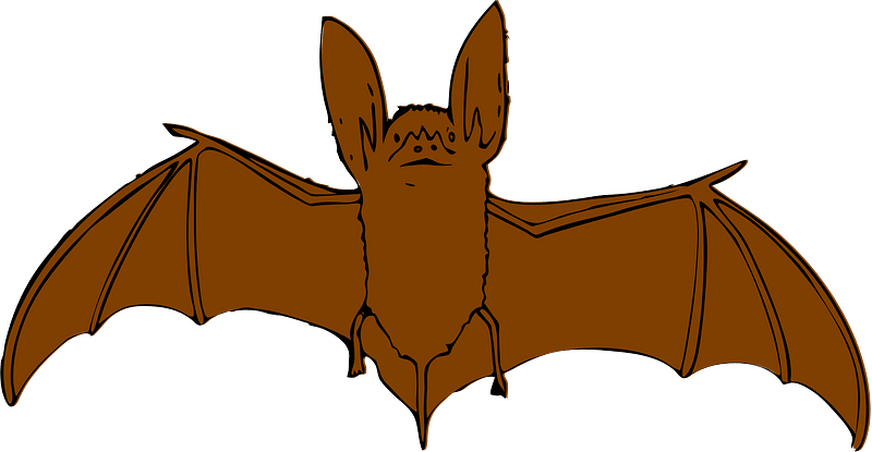 Bat