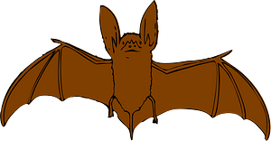 Bat