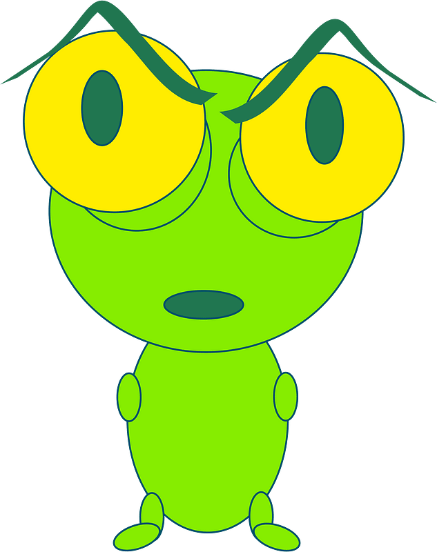 Bug