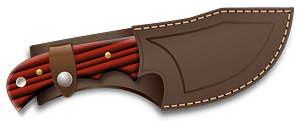 Hunting Knife in a Sheath