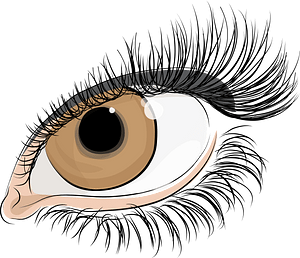 The eye of women