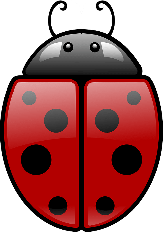 Kepik