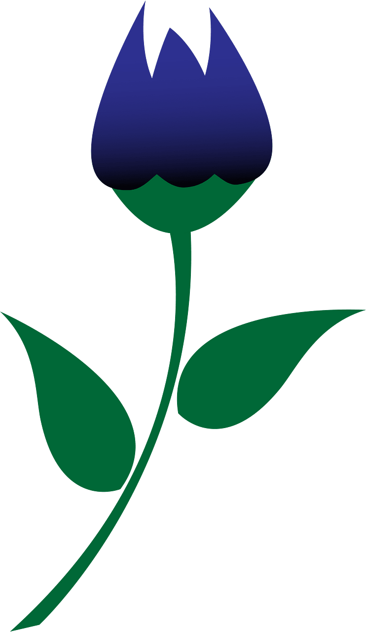 장미