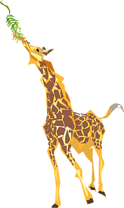 Giraffa