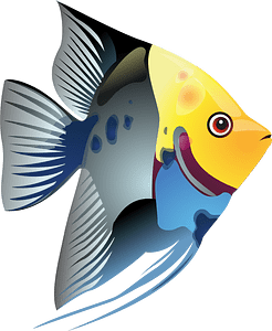 Poisson tropical