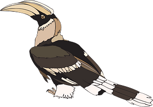 Hornbill