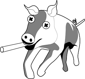 Pig