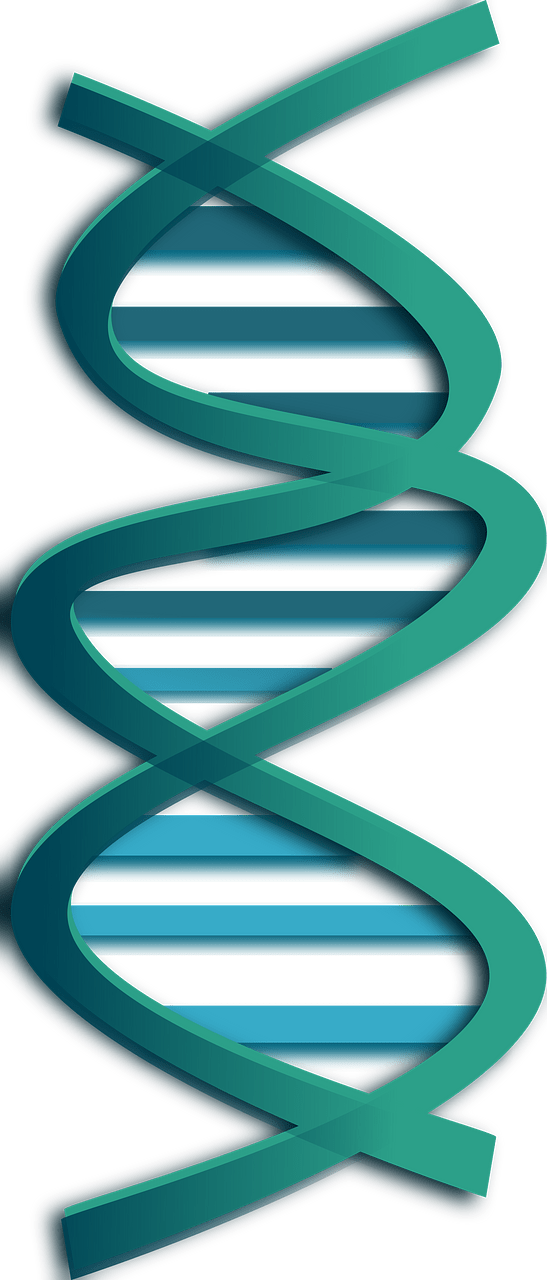 Dna