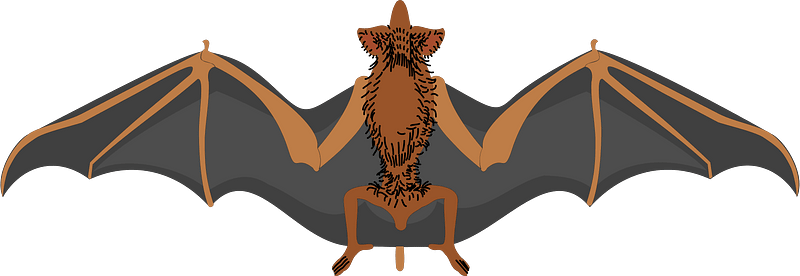 Bat