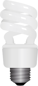 Bulb