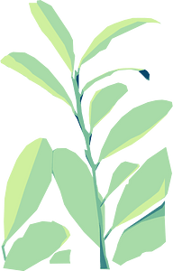 Vector leaves