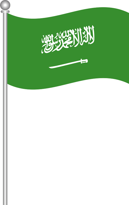 Flag of pakistan