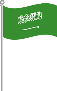 Flag of pakistan