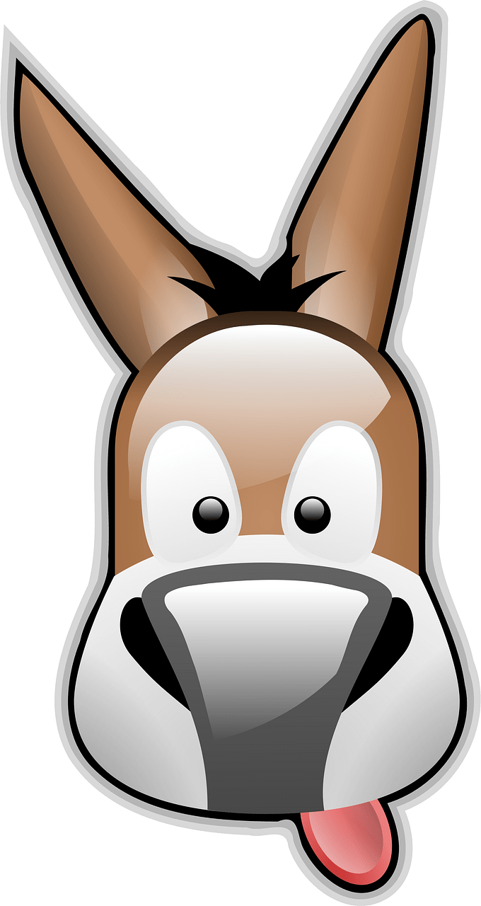 Mule