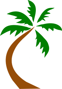 Coconut palm