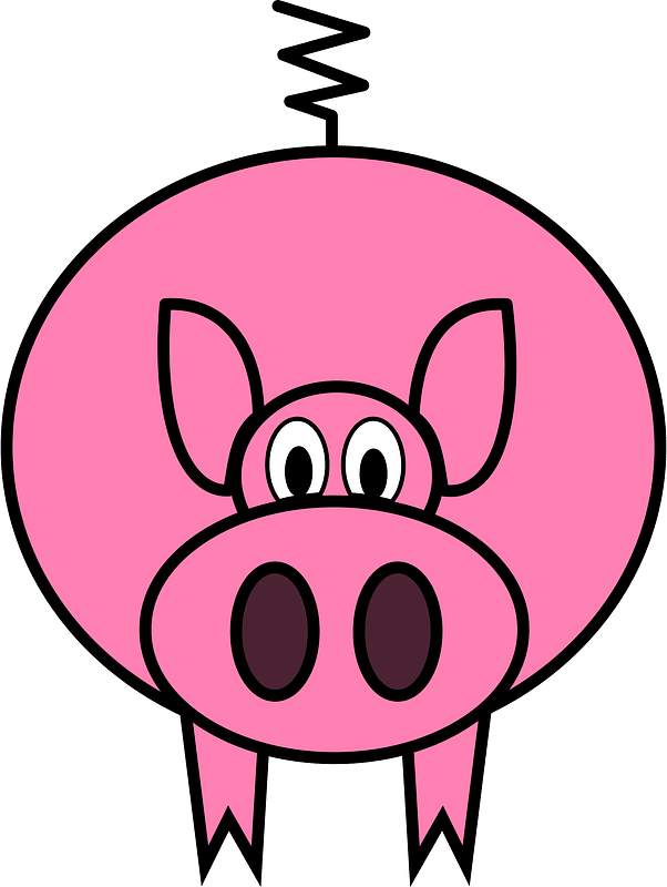 Pig