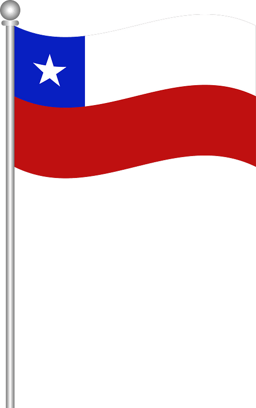 Flag of pakistan