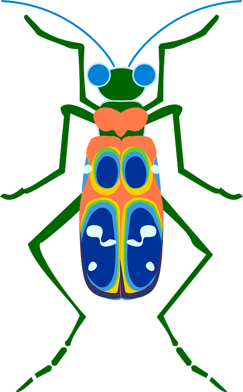 Bug