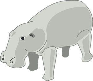 Hippopotamus