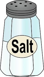 Salt Shaker