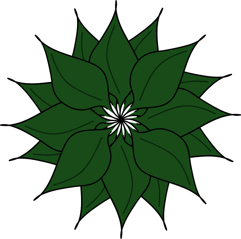 Leaves