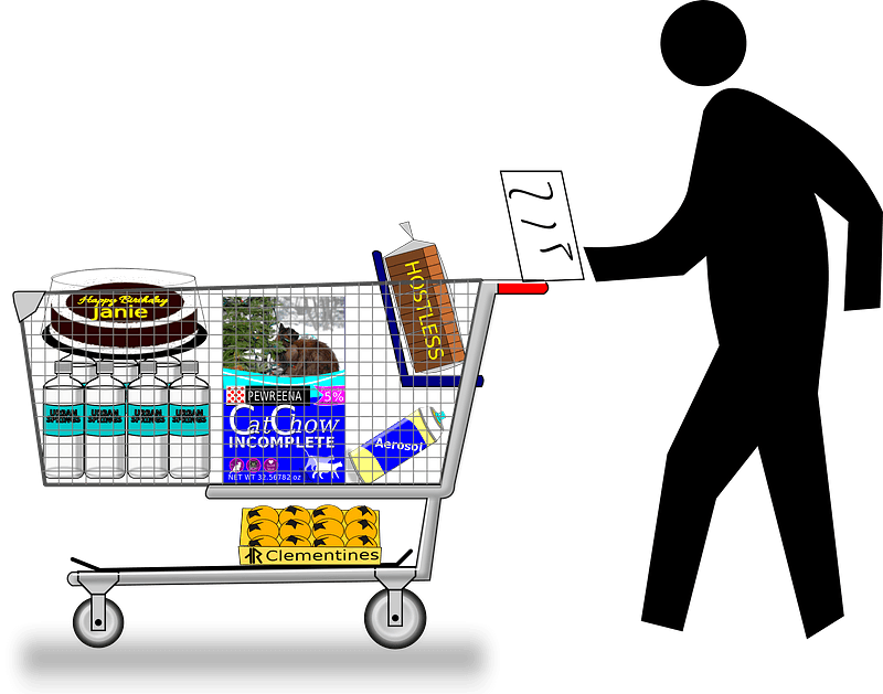 Shopper pushing a cart