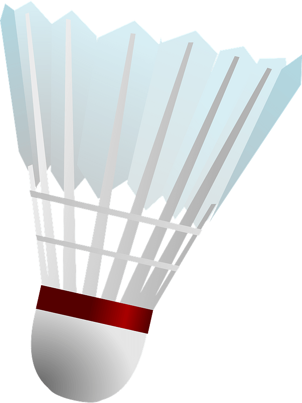 Badminton Shuttlecock