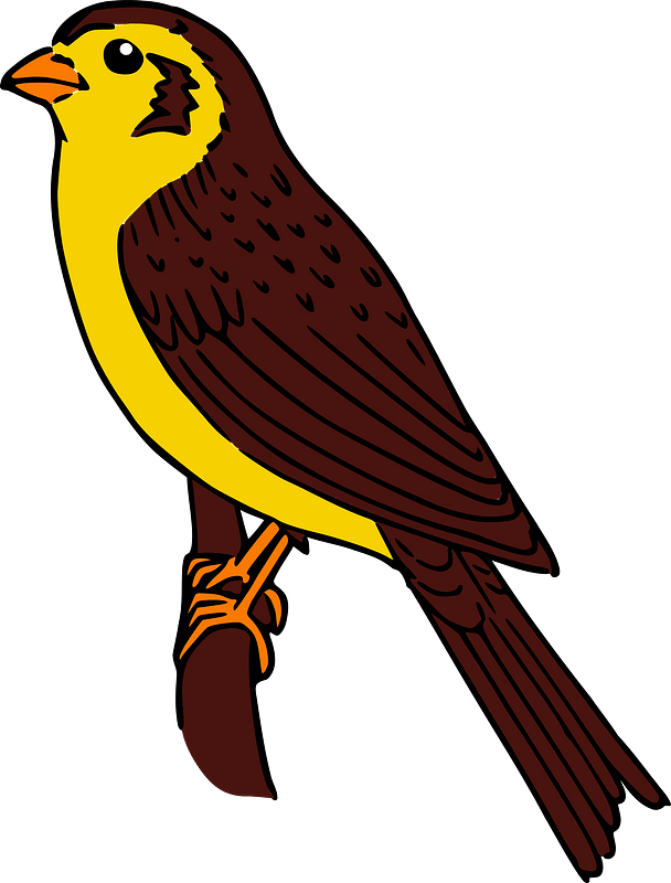 Brown and Yellow Bird Perched on a Branch