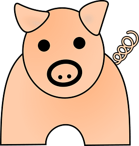 Pig