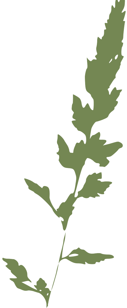 Зелений колір