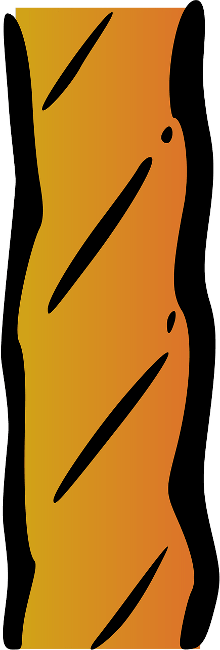 Rope