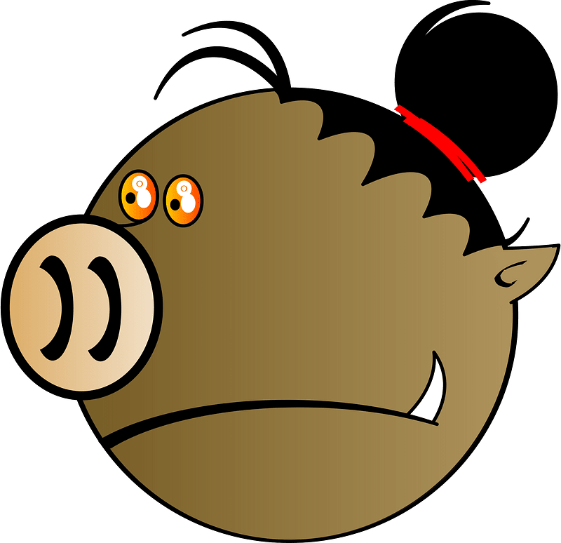 Pig