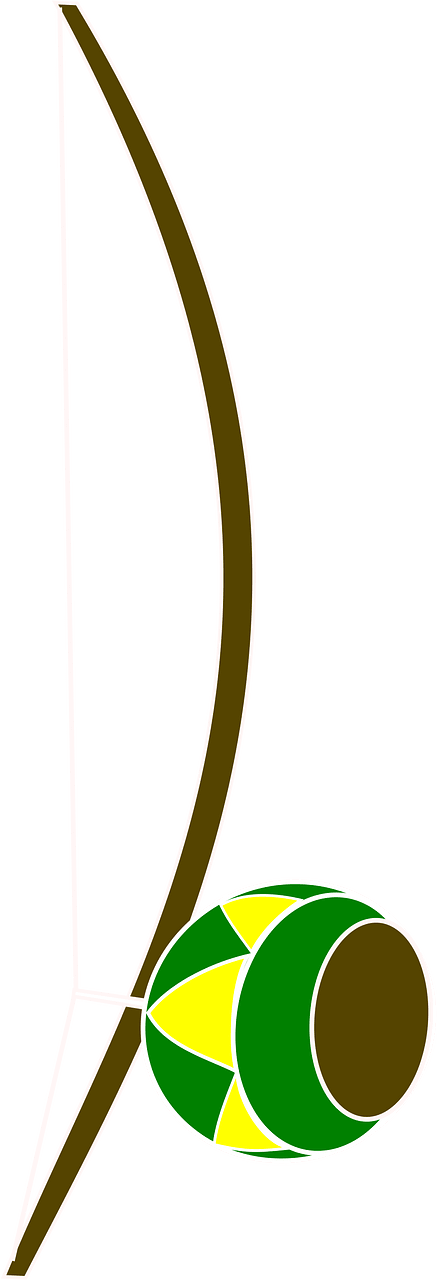 Lazo