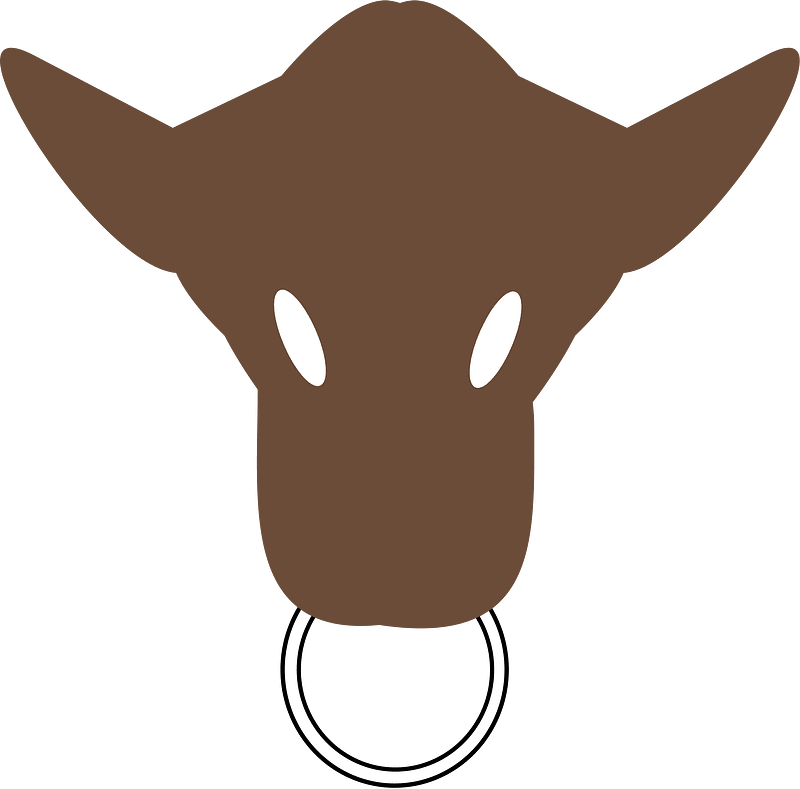 Head