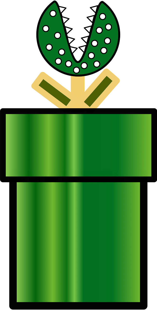 Plant