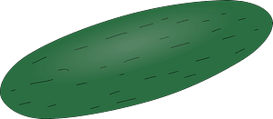 Cucumber