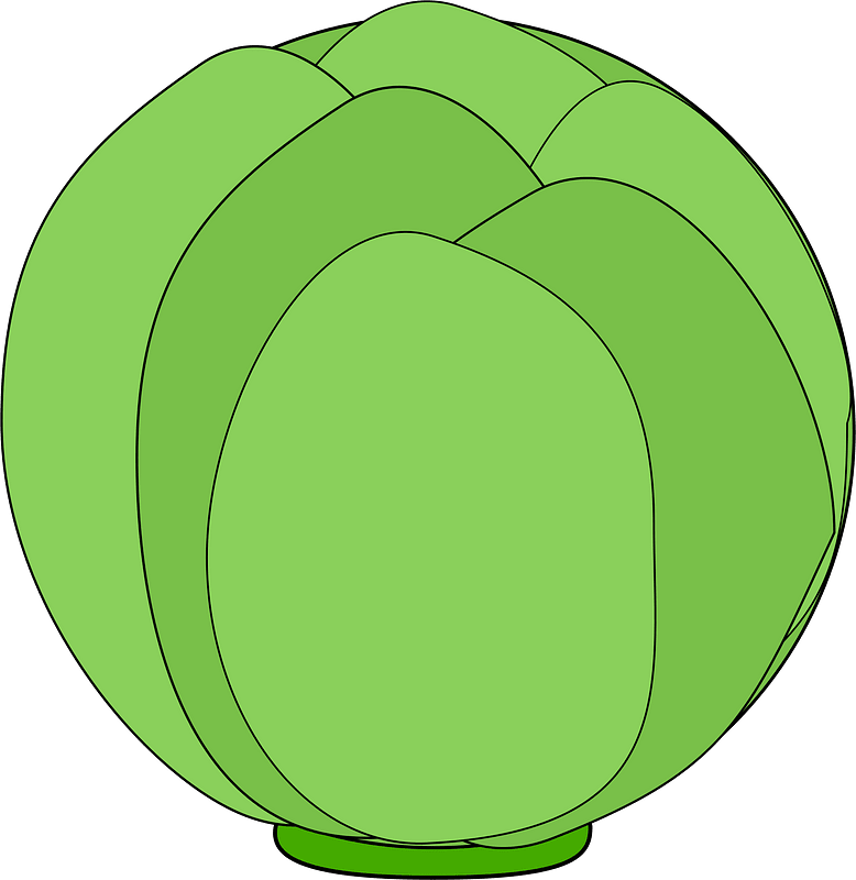 Globe artichoke