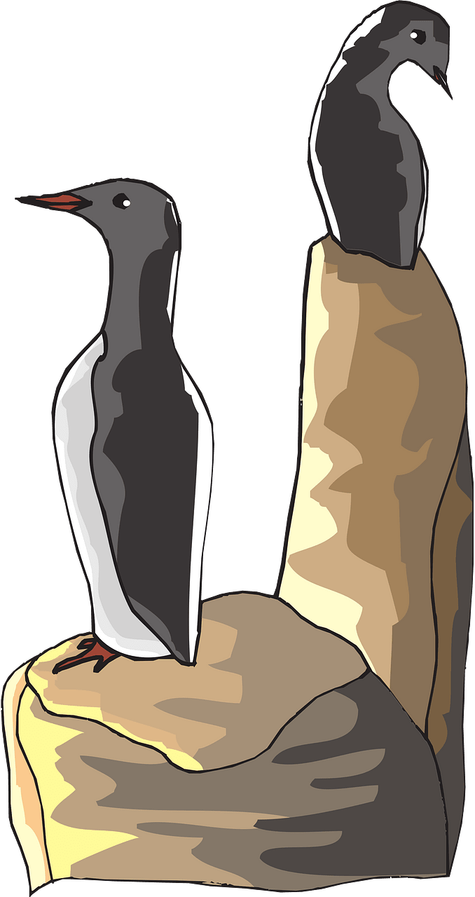 검정