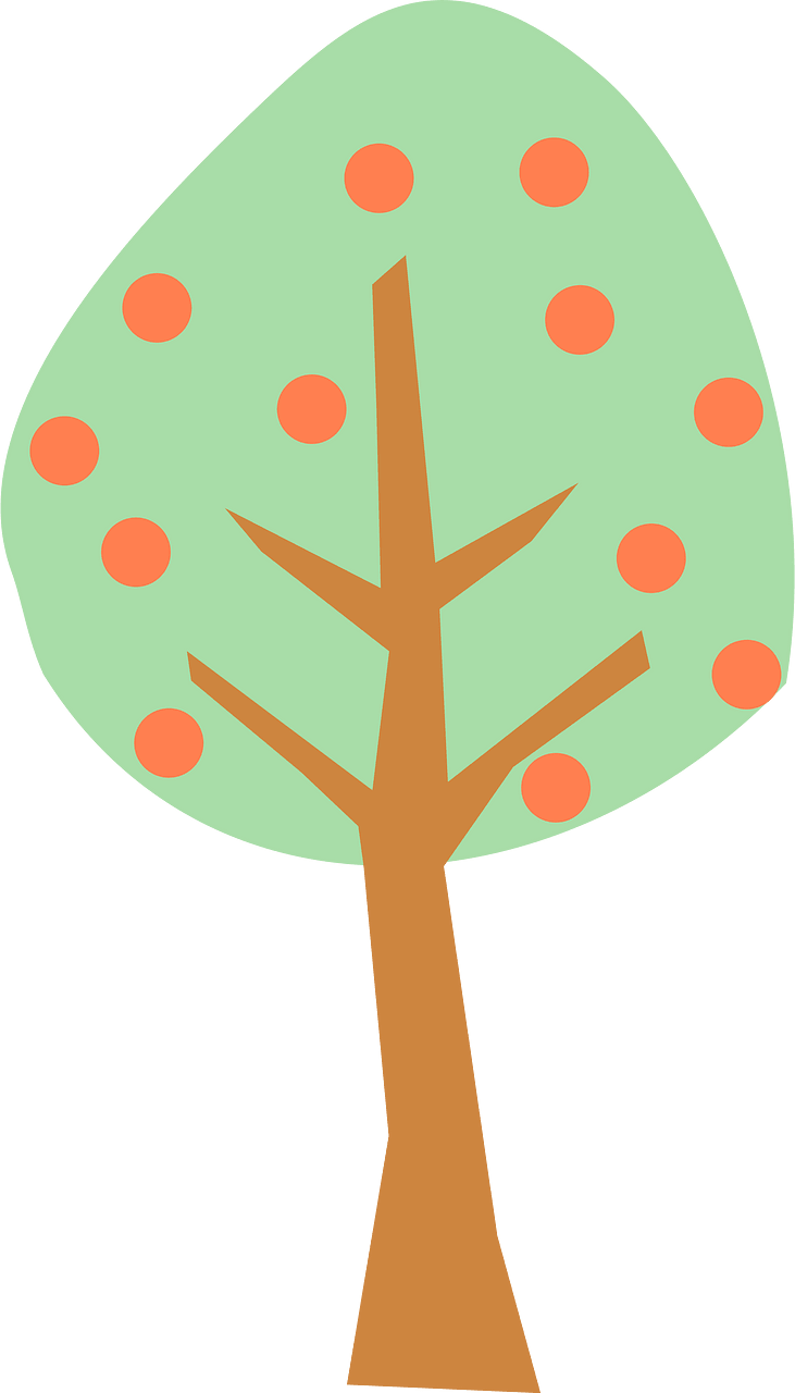 Fruit