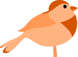 새