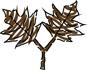 Leaf