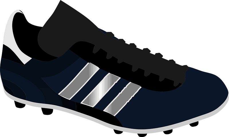 Shoe